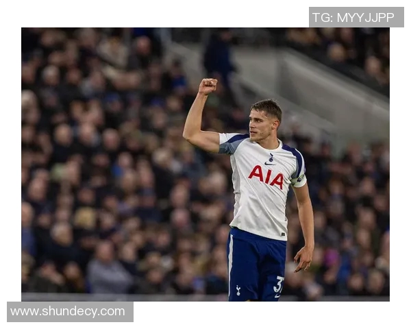 2019年埃弗顿对热刺比赛前瞻与胜负预测分析